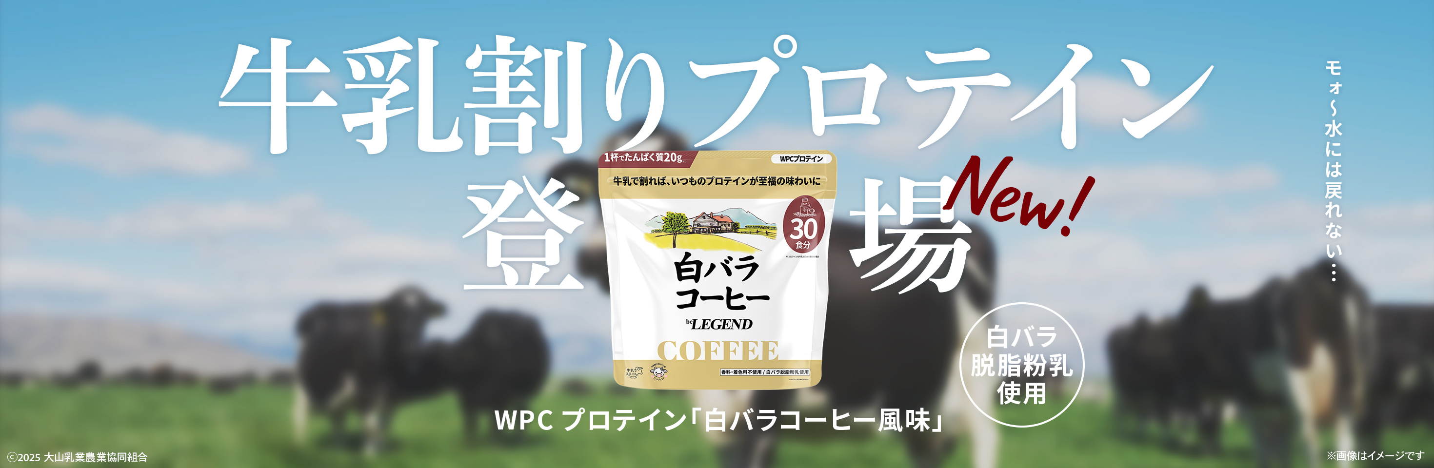 スイカ風味