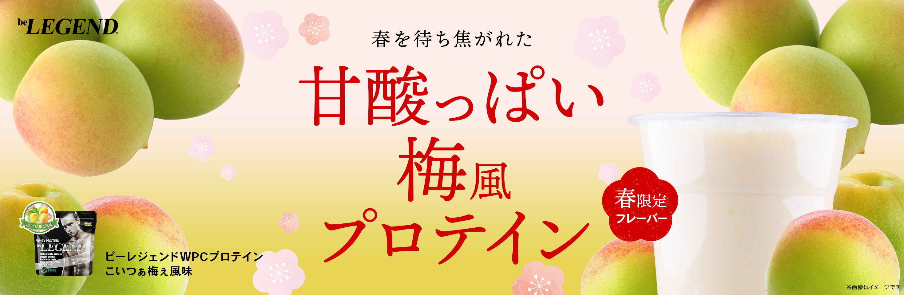 梅風プロテイン