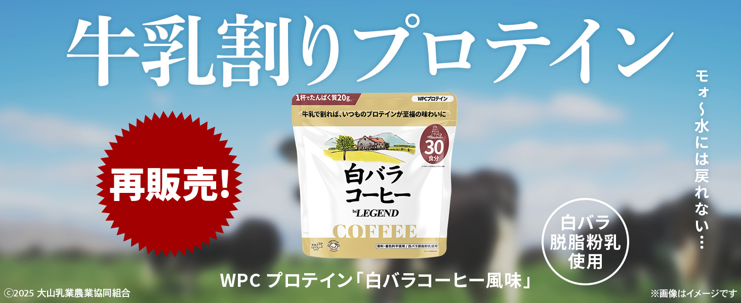 プロテイン