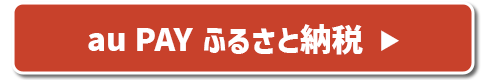 auPAYふるさと納税