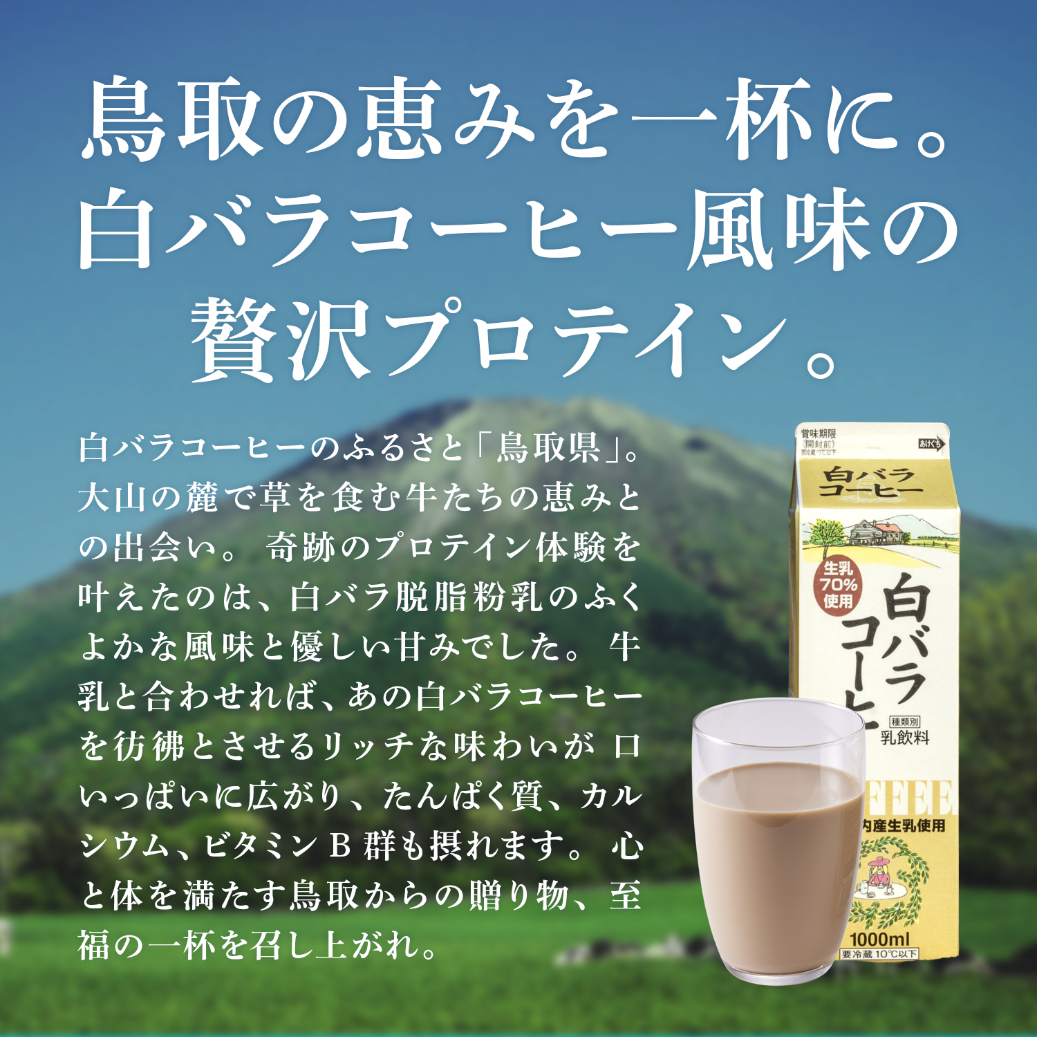 WPCプロテイン 白バラコーヒー風味【600g】