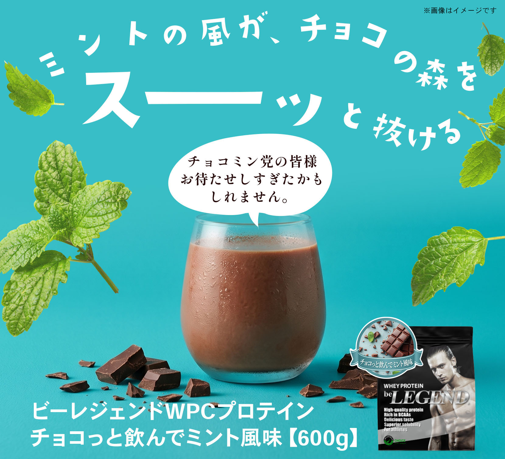 ビーレジェンド WPC プロテイン チョコっと飲んでミント風味 スプーン付き【600g】