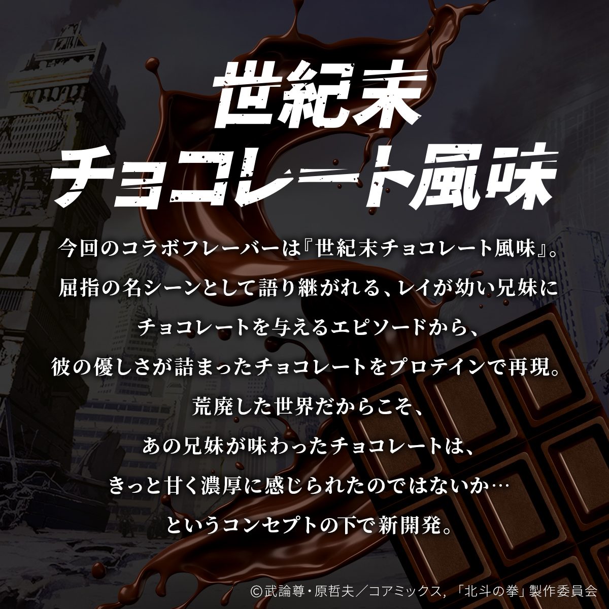 WPC プロテイン 北斗の拳 -FIST OF THE NORTH STAR- 世紀末チョコレート風味 スプーン付き【600g】