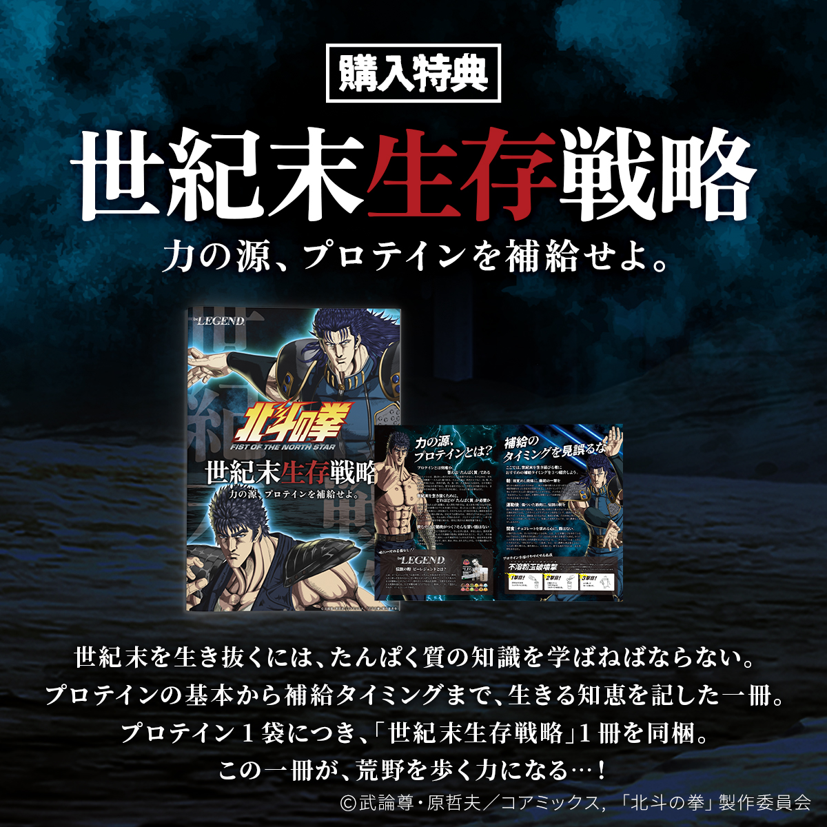 WPC プロテイン 北斗の拳 -FIST OF THE NORTH STAR- 世紀末チョコレート風味 スプーン付き【600g】