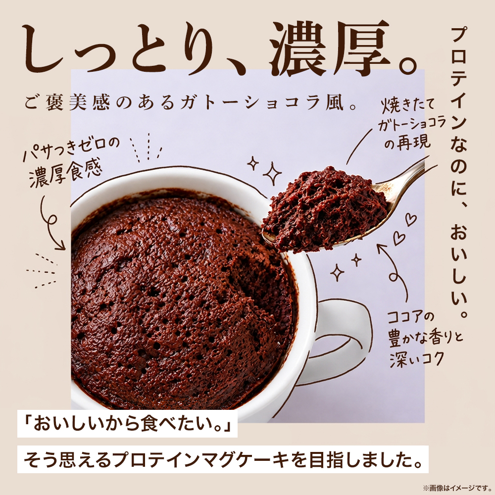 ビ―レジェンド プロテイン マグケーキ ガトーショコラ風味 スプーン付き【450g】