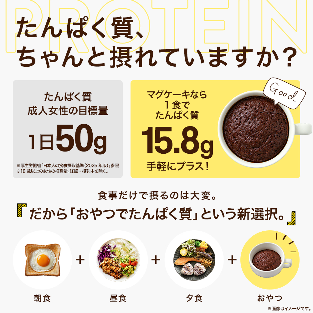 ビ―レジェンド プロテイン マグケーキ ガトーショコラ風味 スプーン付き【450g】