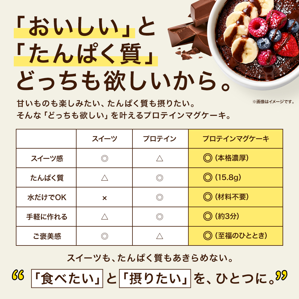ビ―レジェンド プロテイン マグケーキ ガトーショコラ風味 スプーン付き【450g】