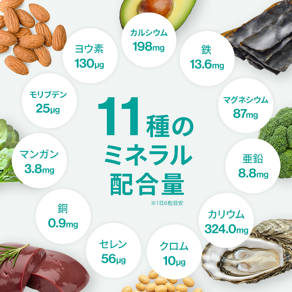 ビーレジェンド マルチビタミン＆ミネラル スタンダード【1袋】定期