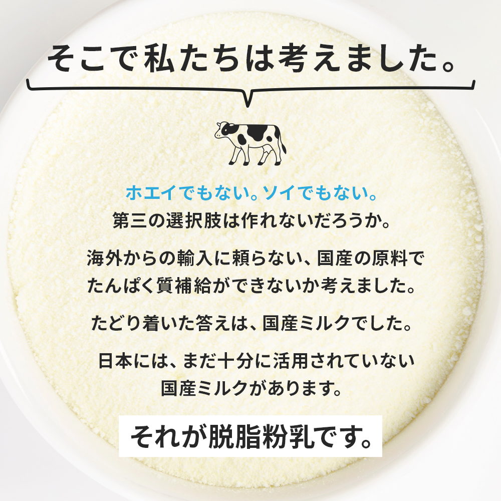 ノンファットミルクプロテイン 
