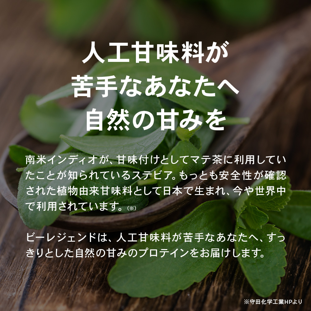 ビーレジェンド WPCプロテイン  ゴマかしの効かない黒ごま風味【1kg】スプーン付き