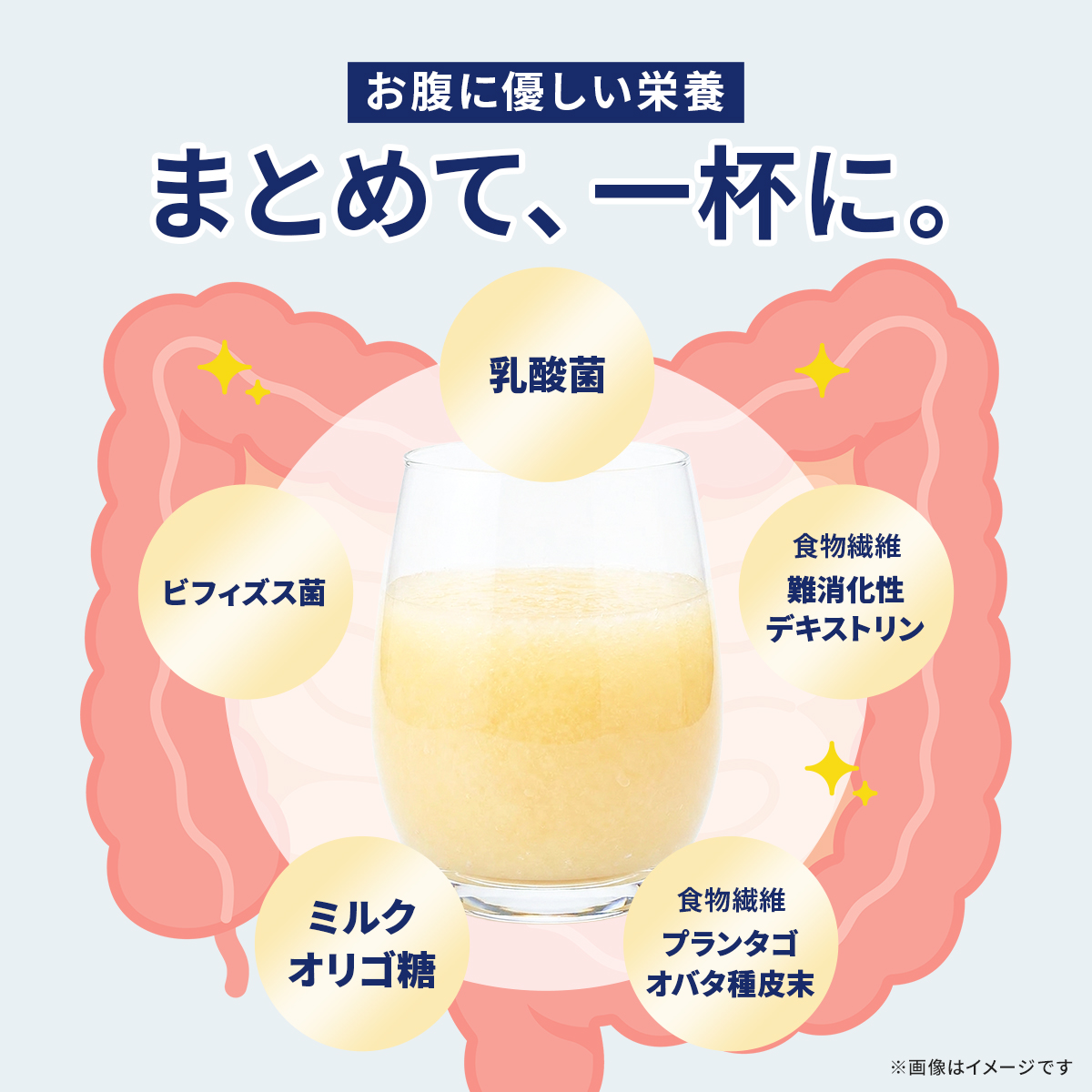 ビーレジェンド リアファイバー すりおろしピーチ風味 スプーン付き【300g】