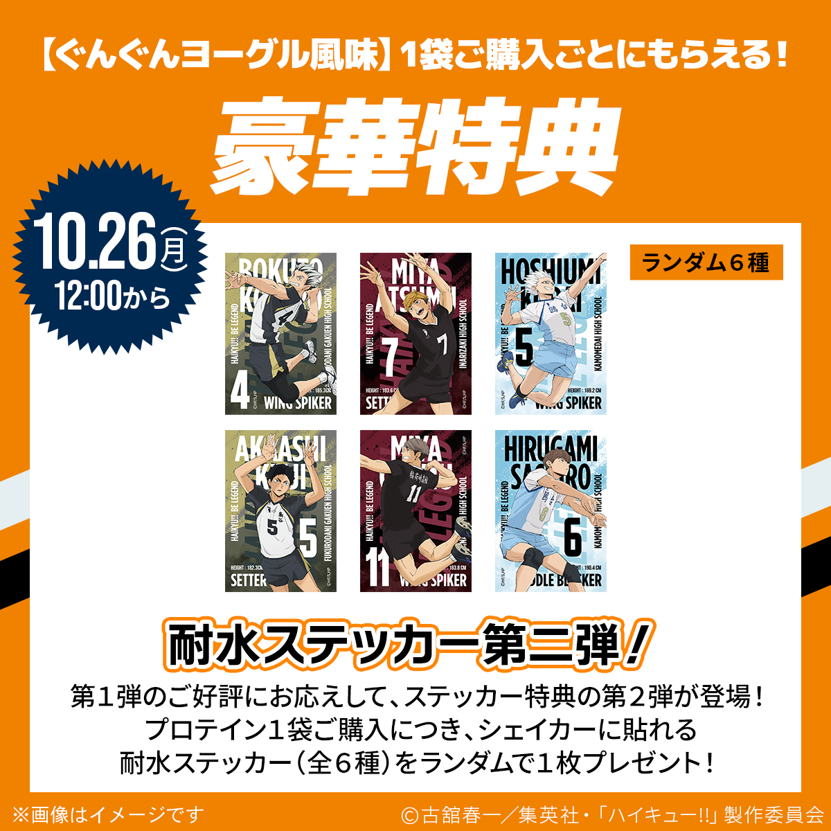 WPCプロテイン ハイキュー!! ぐんぐんヨーグル風味 スプーン付き【300g】