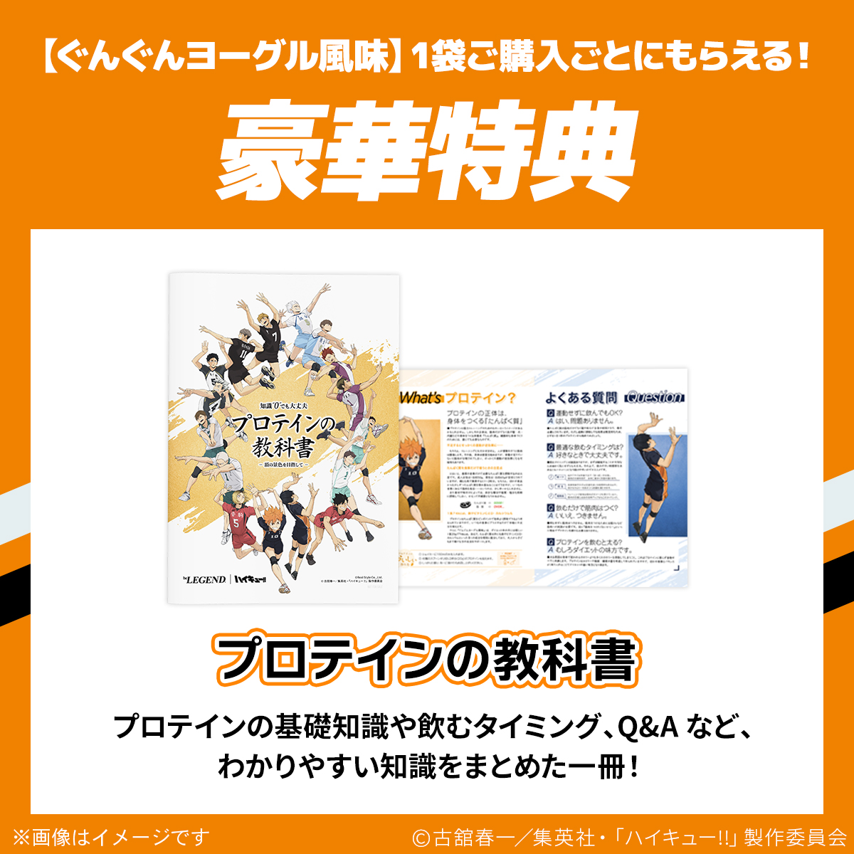 WPCプロテイン ハイキュー!! ぐんぐんヨーグル風味 スプーン付き【300g】
