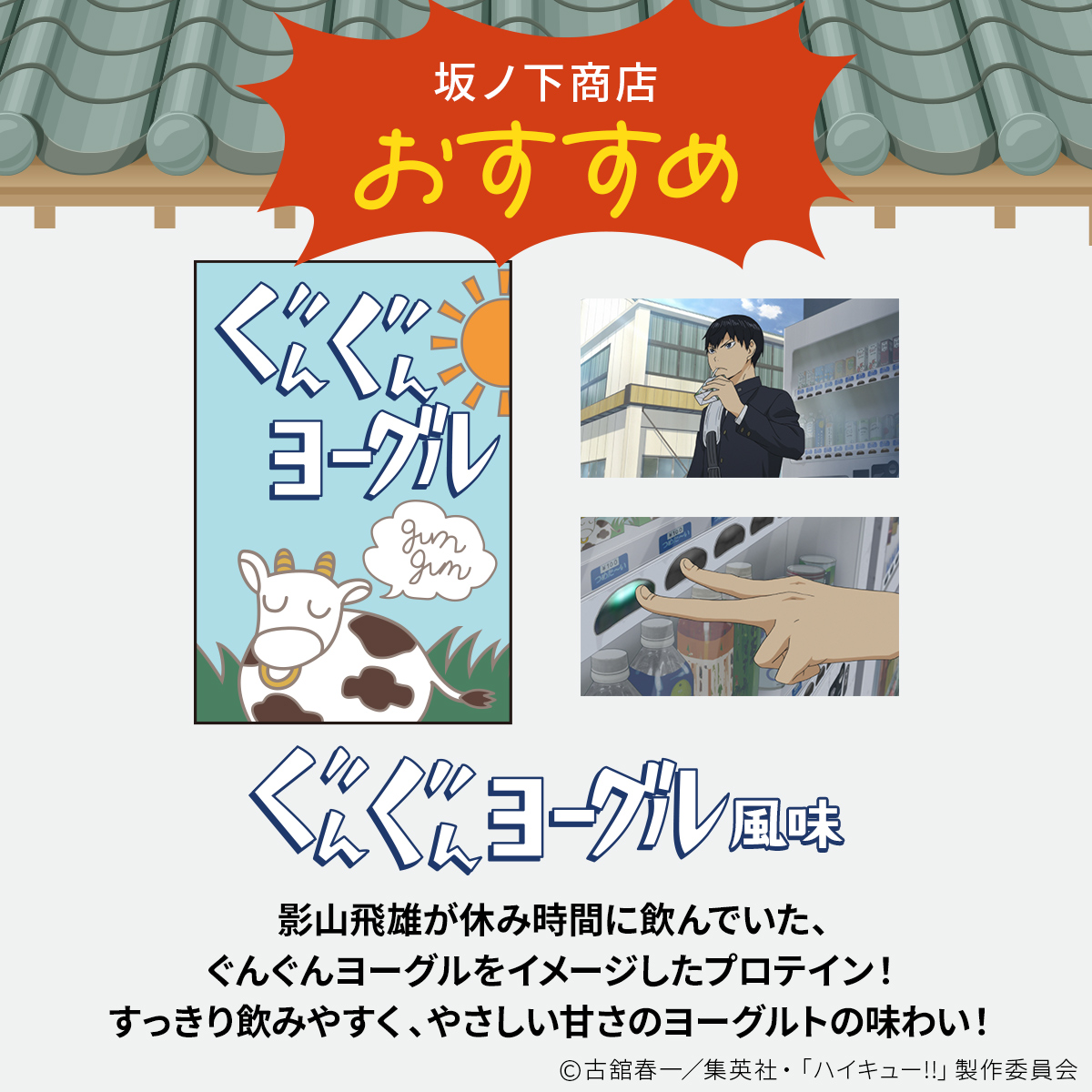 WPCプロテイン ハイキュー!! ぐんぐんヨーグル風味 スプーン付き【300g】