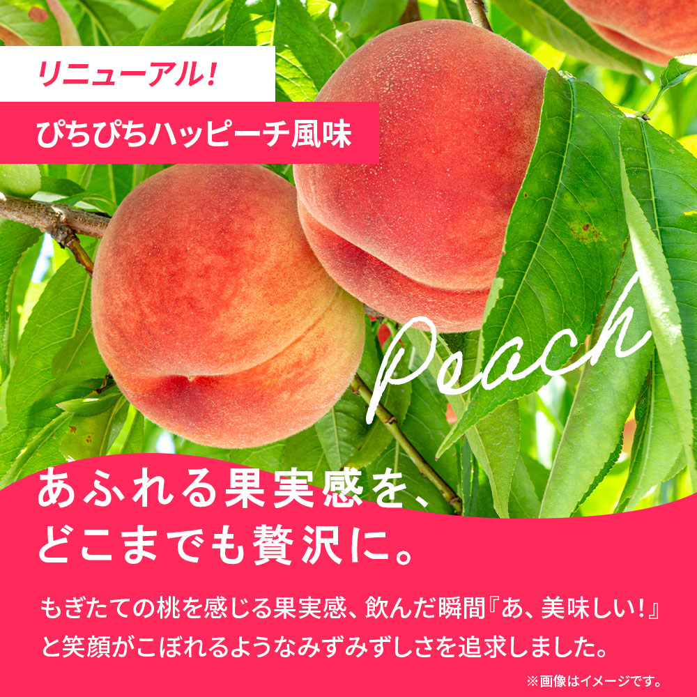 WPCプロテイン ぴちぴちハッピーチ風味【900g】 | ビーレジェンド 公式