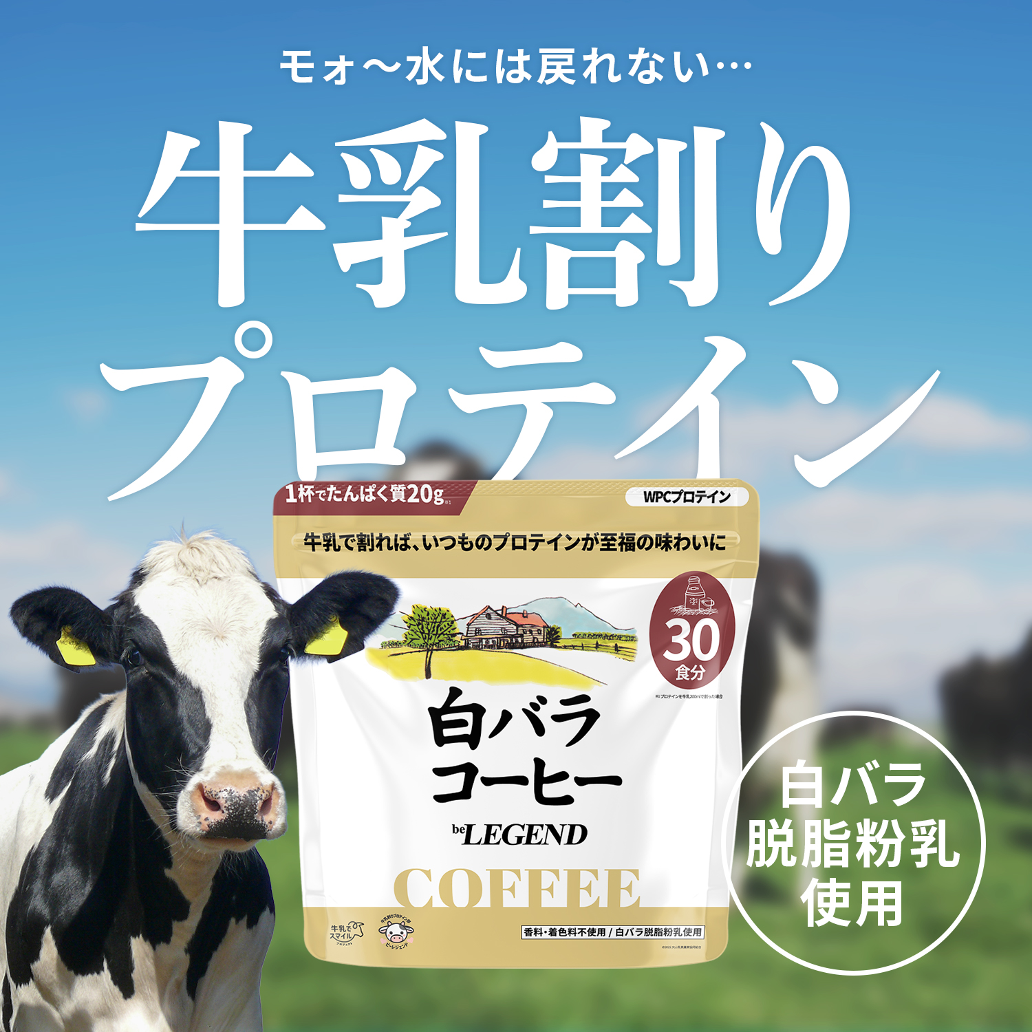 WPCプロテイン 白バラコーヒー風味【600g】スプーンあり